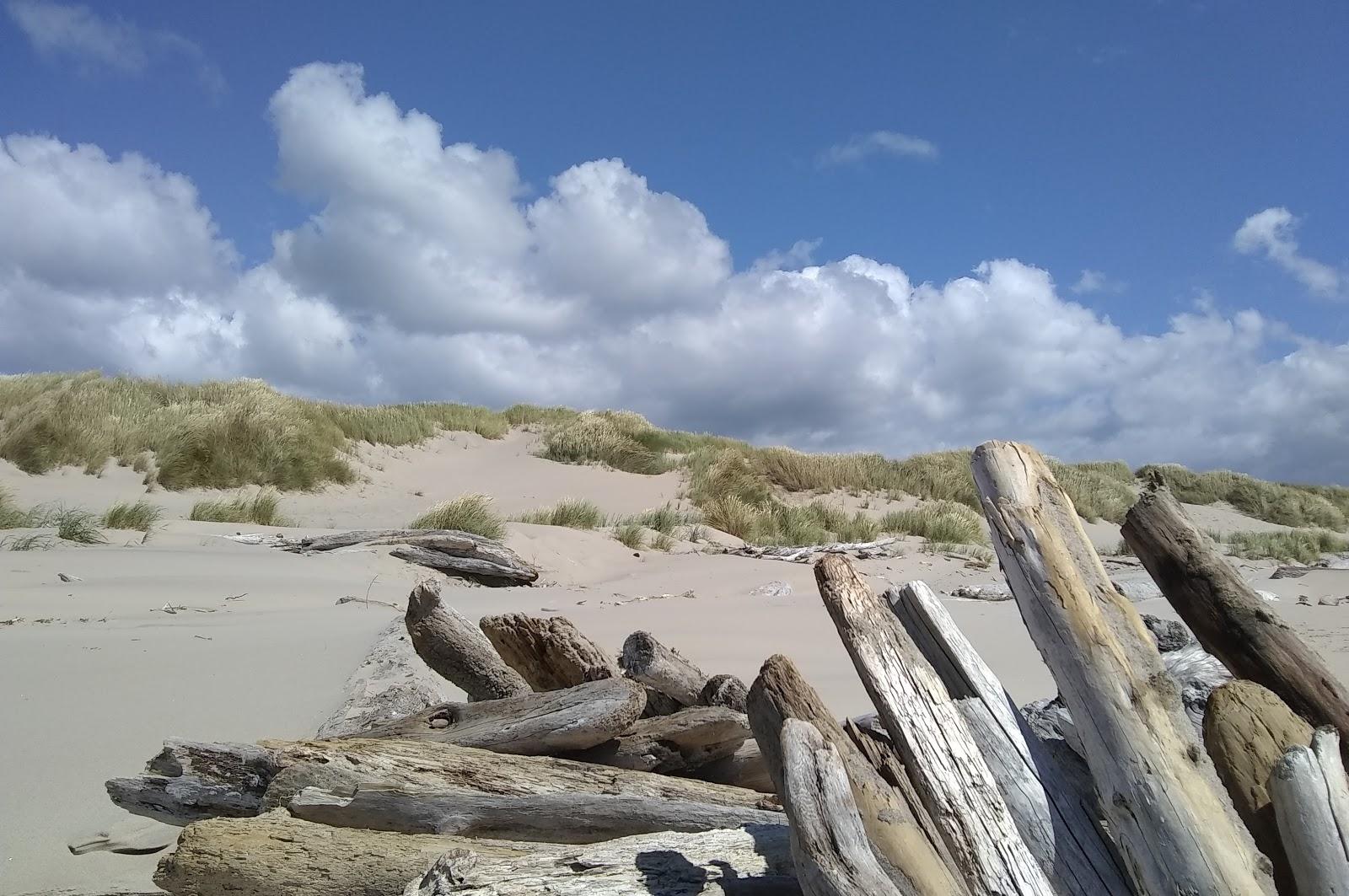 Sandee Nehalem Bay Jetty Trail Photo