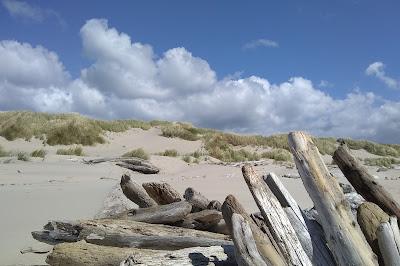 Sandee - Nehalem Bay Jetty Trail