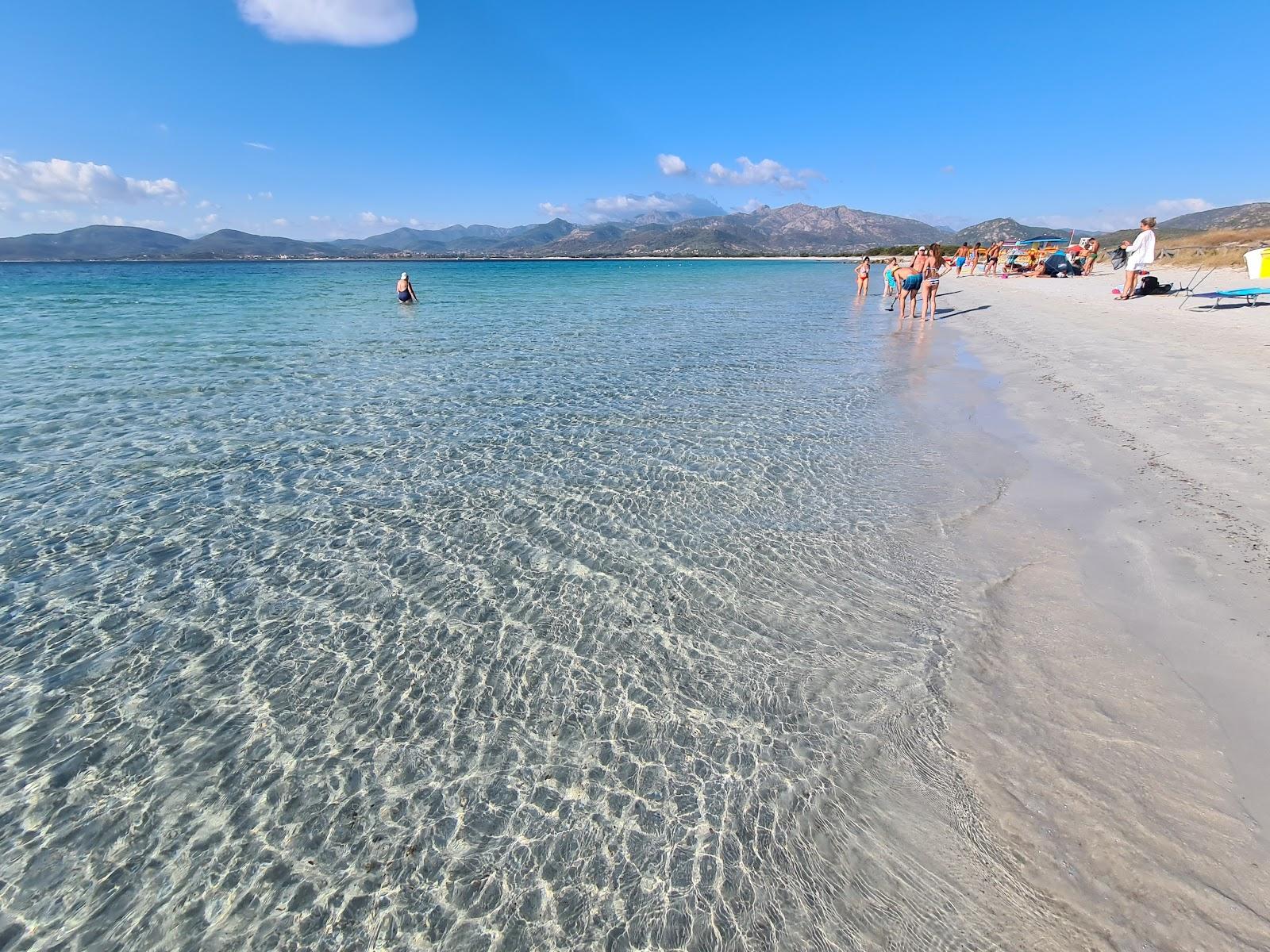 Sandee Spiaggia Di Puntaldia