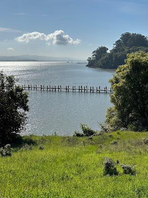 Sandee - China Camp Beach