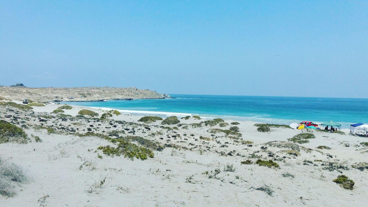 Sandee Playa El Apolillado