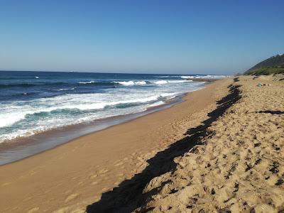 Sandee - Ansteys Beach