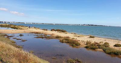 Sandee - Fen Farm Beach