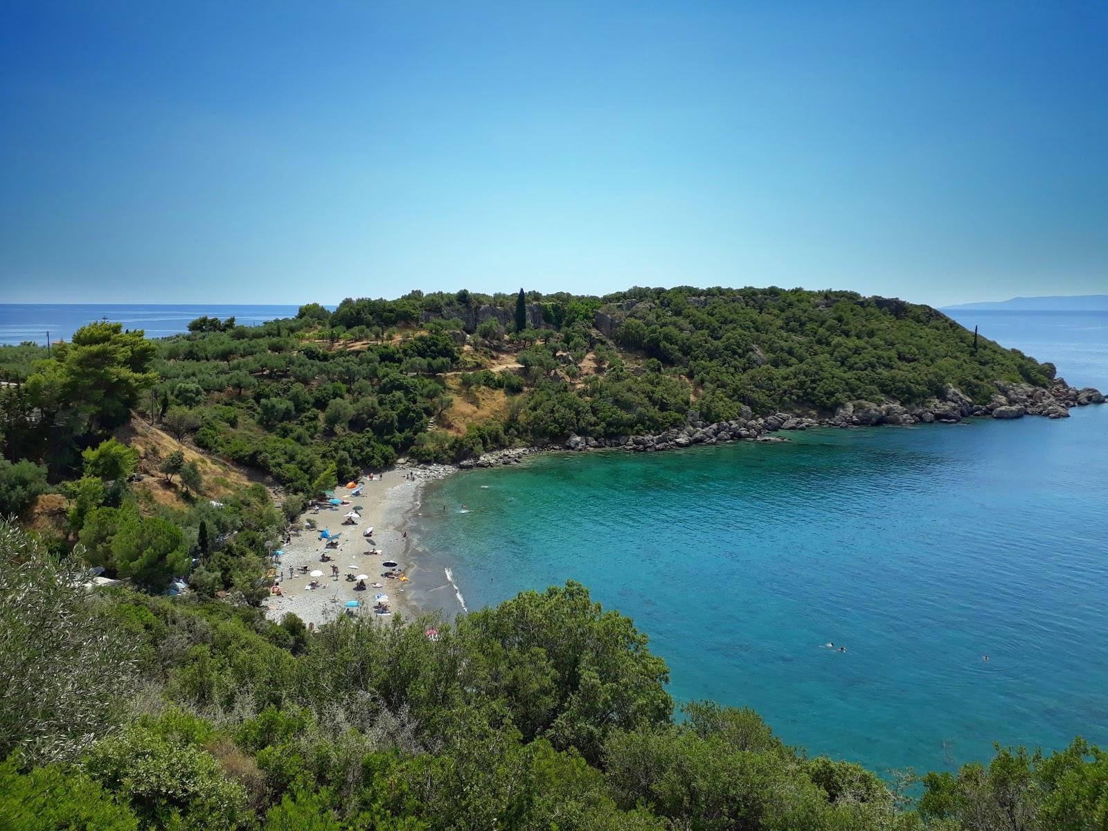 Sandee Delfinia Beach