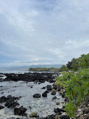 Sandee - Holoholokai Beach