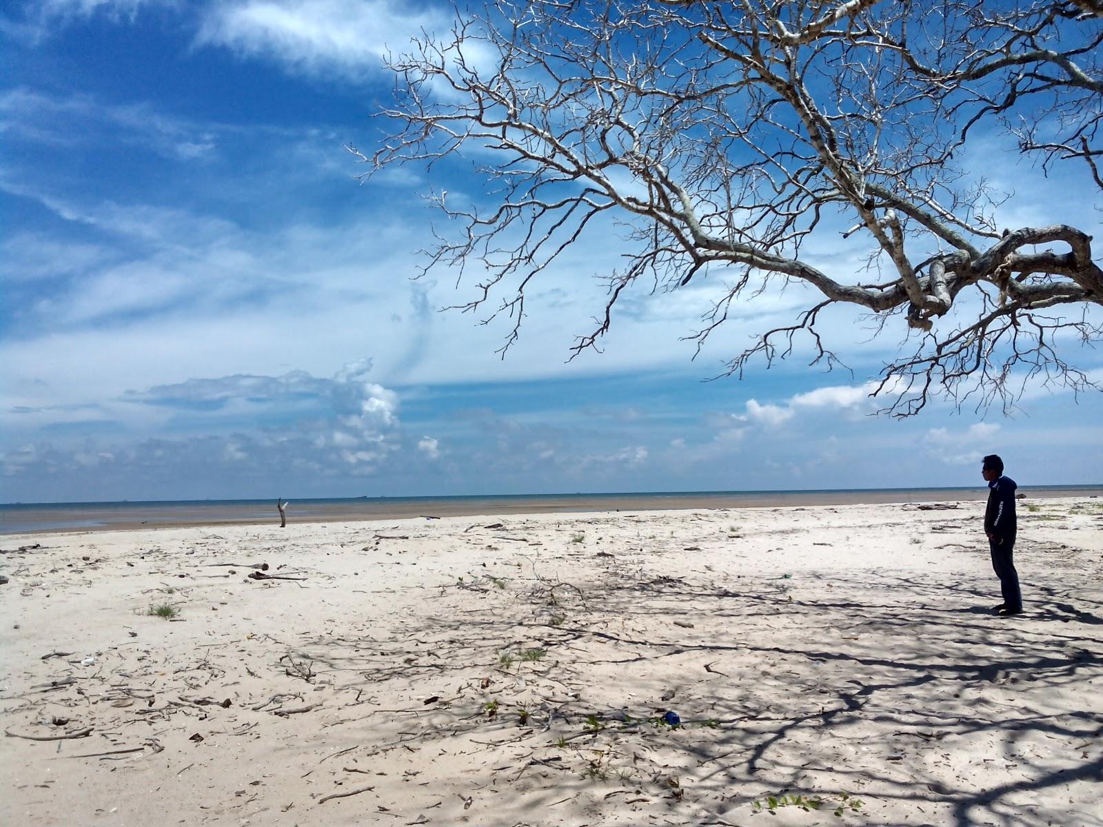 Sandee Tanah Merah Beach