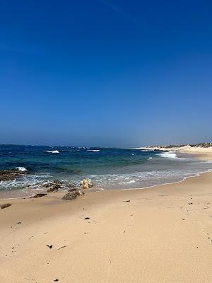 Sandee - Praia Da Terra Nova