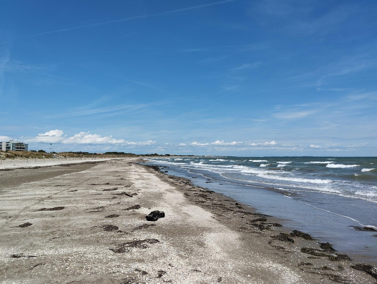 Sandee Alberoni Beach