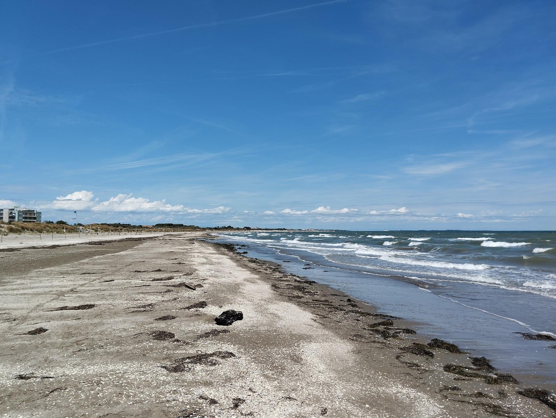 Sandee Alberoni Beach