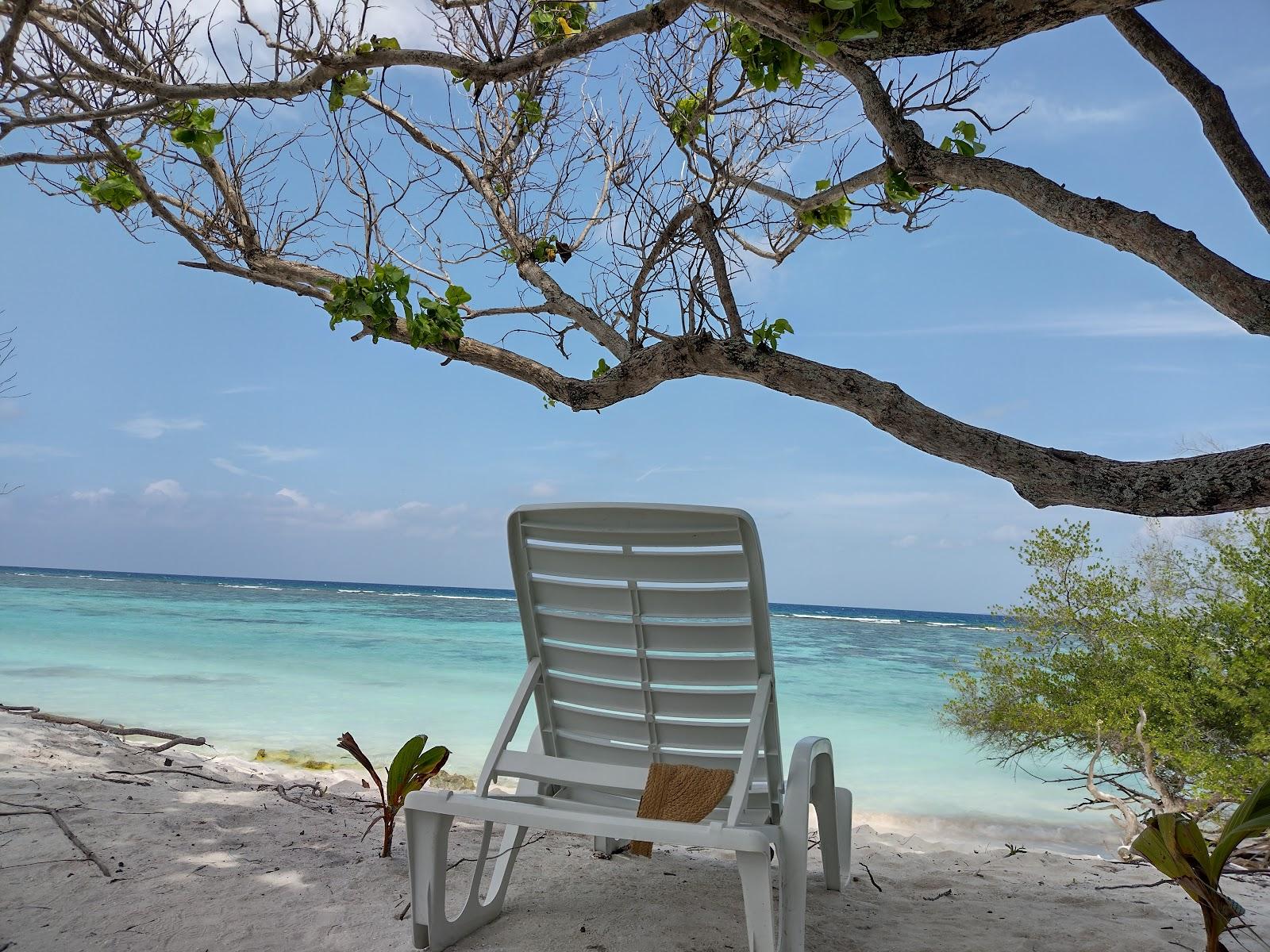 Sandee Bikini Beach- Goidhoo
