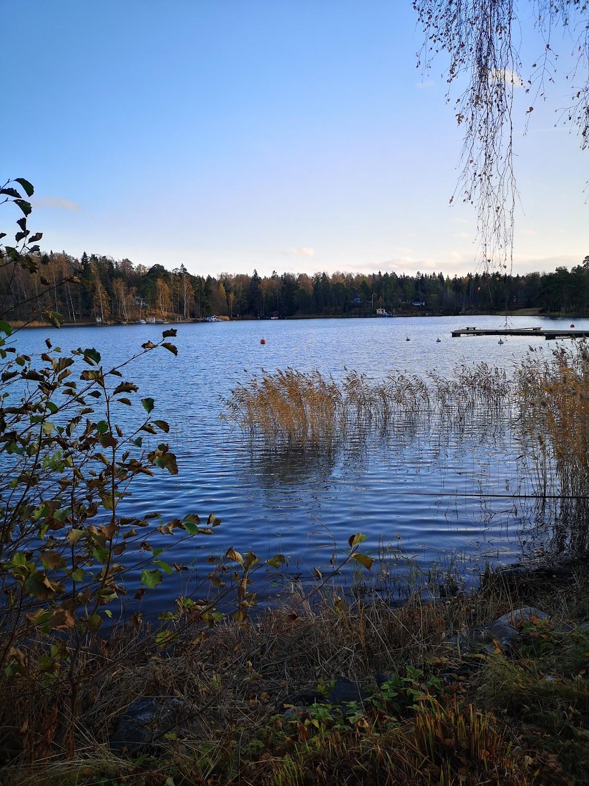 Sandee Vartiosaari
