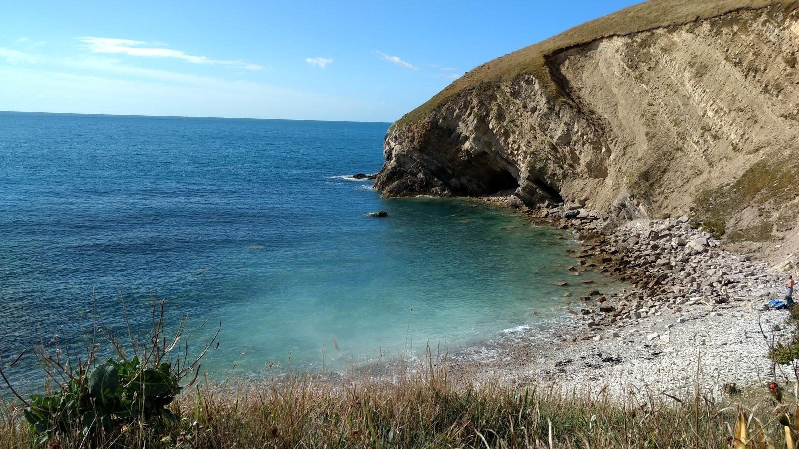 Sandee Pondfield Cove Beach Photo