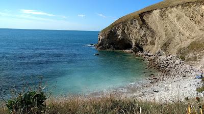 Sandee - Pondfield Cove Beach