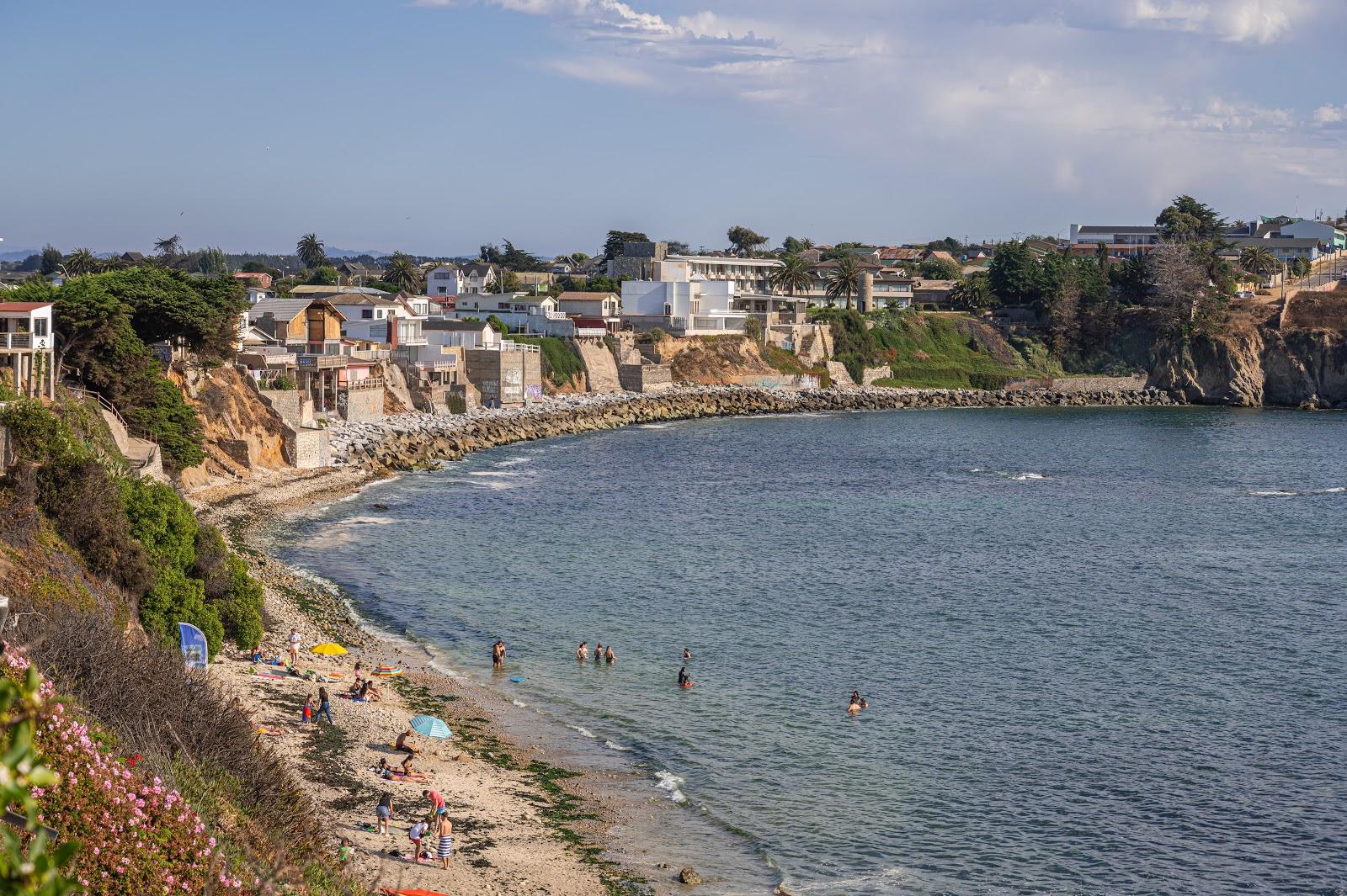 Sandee Playa Papagallo