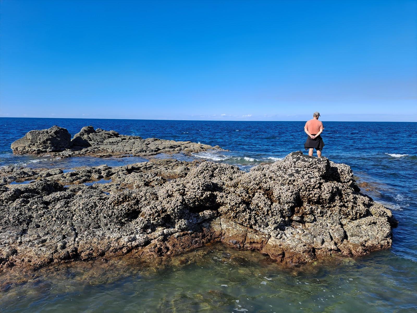 Sandee Barolin Point
