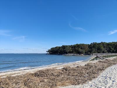 Sandee - Dolphin Head Beach