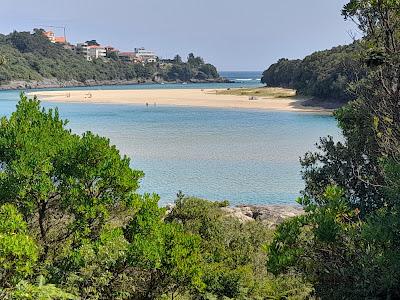 Sandee - Playa De La Arena - Los Nudistas