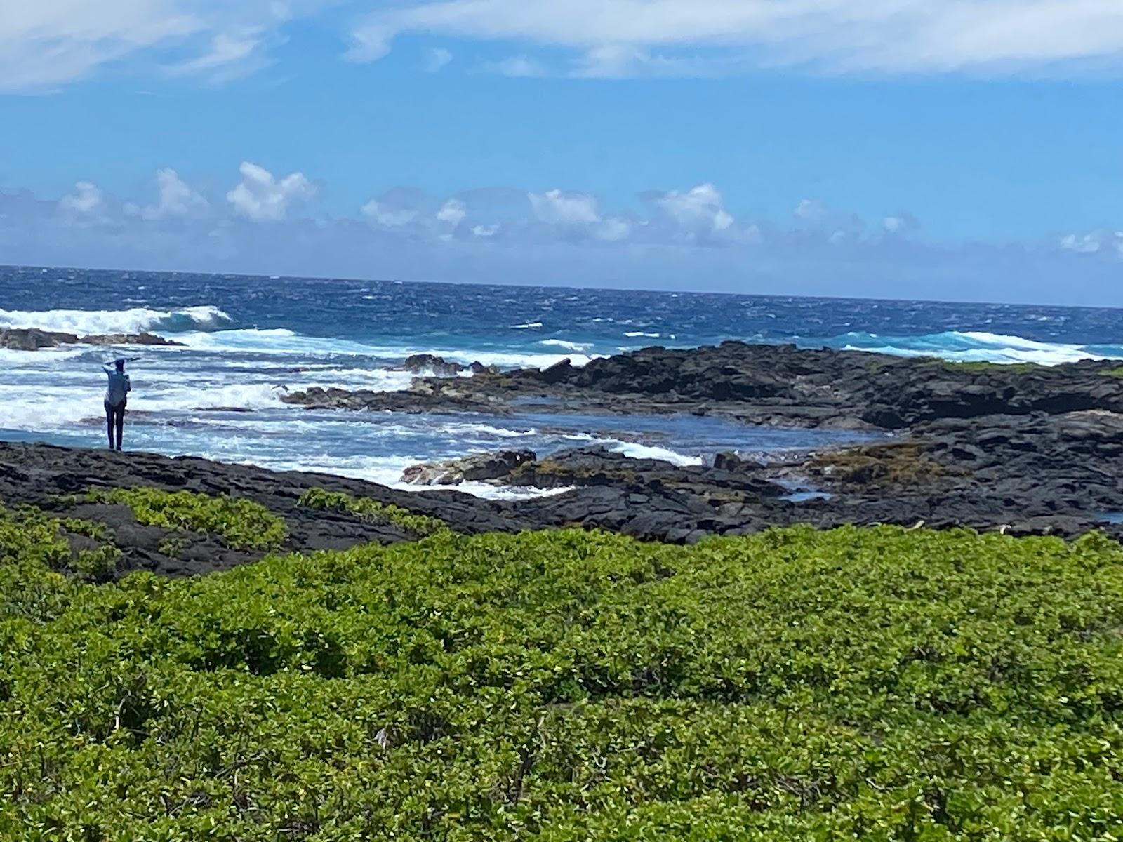 Sandee - Punalu'U Beach Park