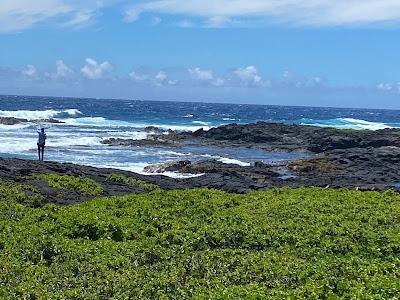 Sandee - Punalu'U Beach Park