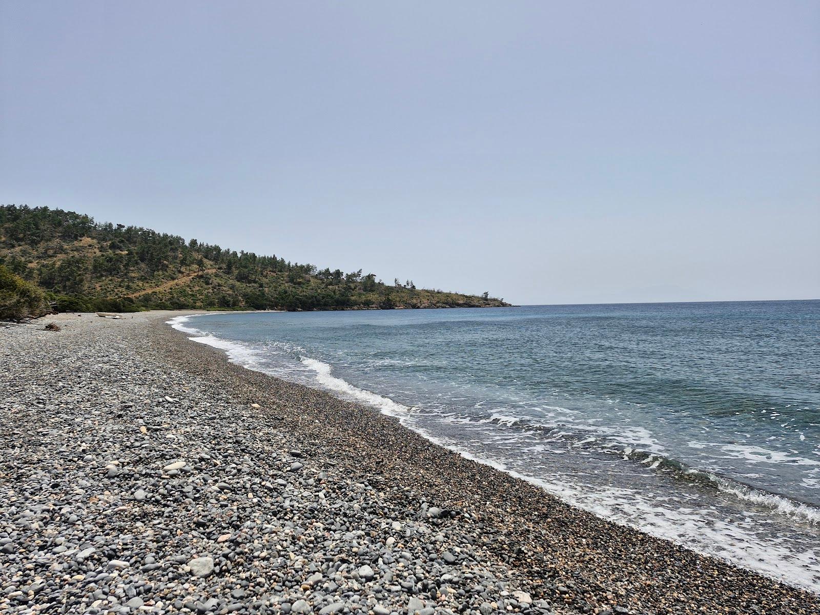 Sandee Seytan Yalisi