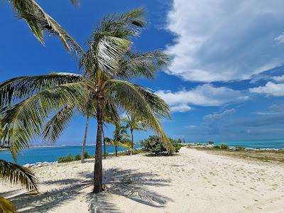 Sandee - Old Bahama Beach