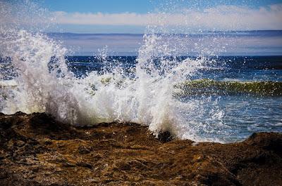 Sandee - Cape Perpetua