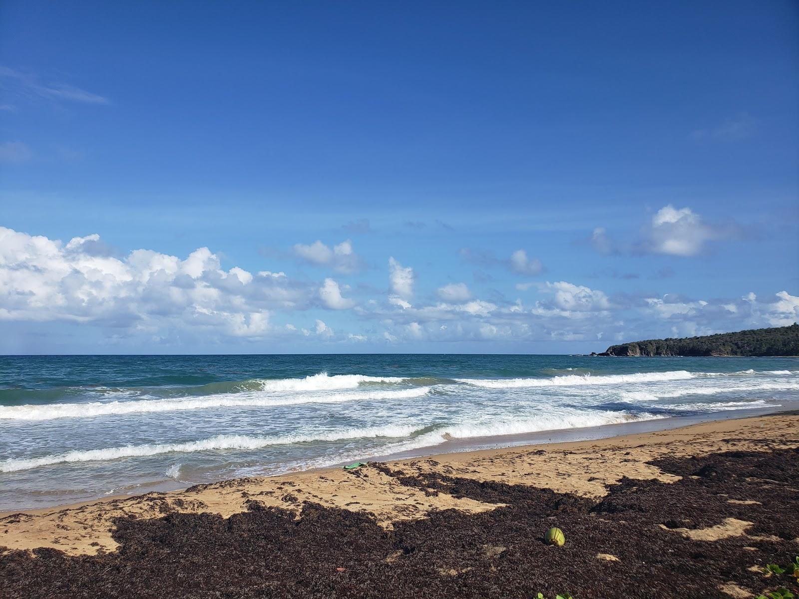 Sandee Playa El Negro Photo