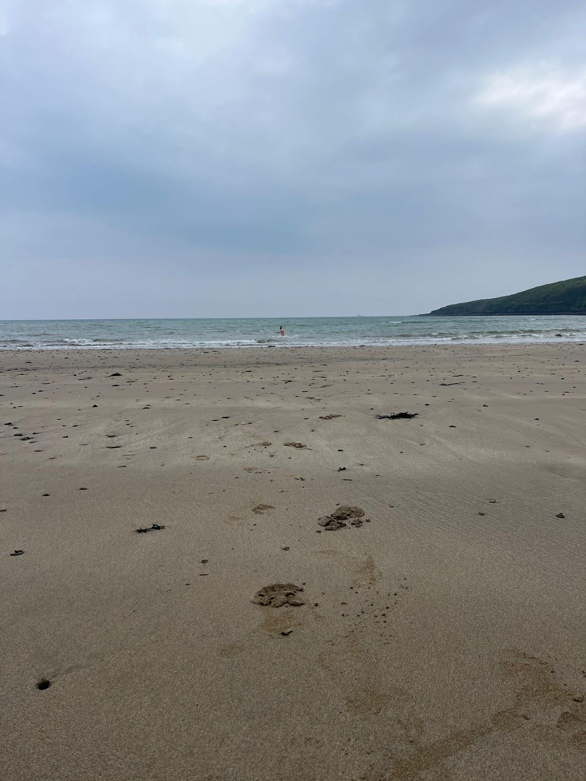 Sandee Ballysallagh Bay Beach