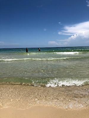 Sandee - East Perdido Key State Park