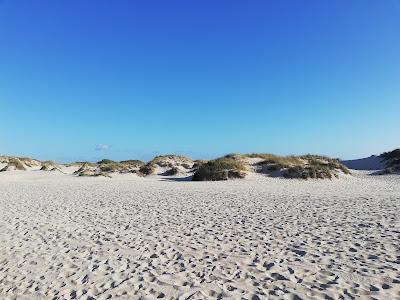 Sandee - Sao Jacinto Beach