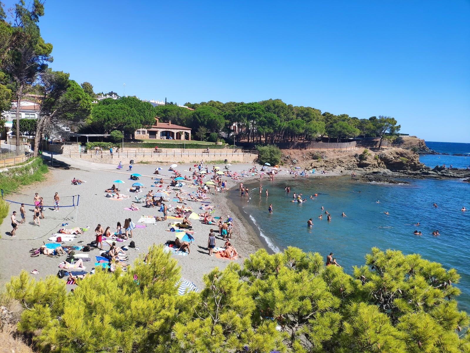 Sandee Playa De Tonyines A Llanca