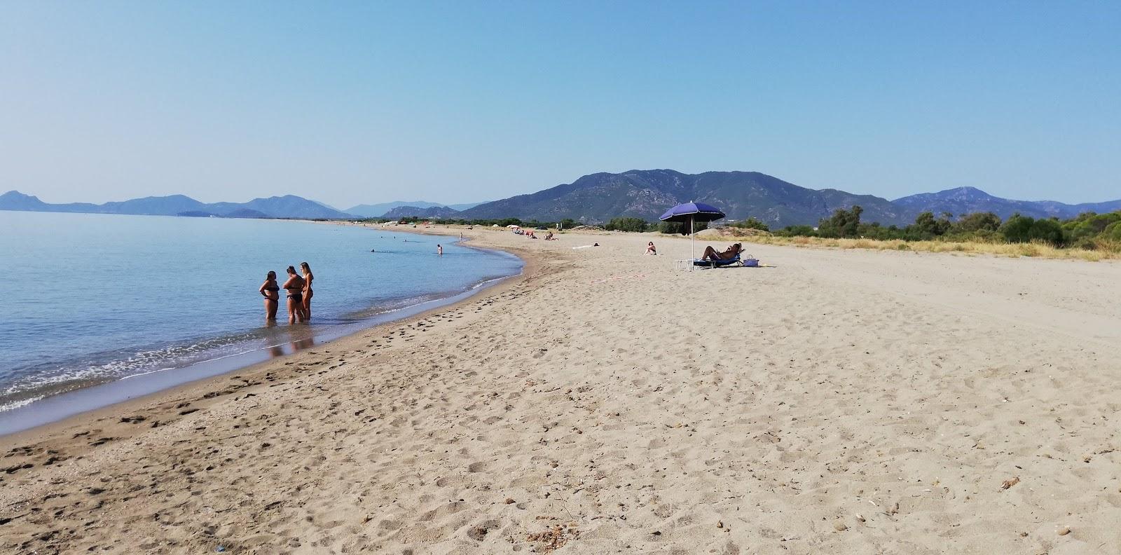 Sandee Spiaggia Del Porto Di Porto Corallo Photo