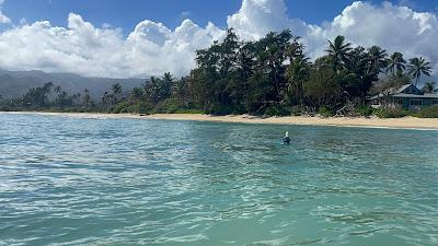 Sandee - Laniloa Beach