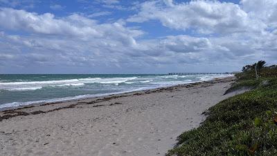 Sandee - Dr. Von D. Mizell-Eula Johnson State Park