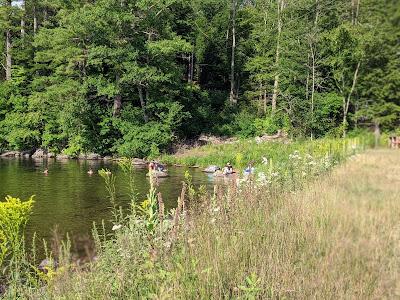 Sandee - Goose Pond Dam Beach