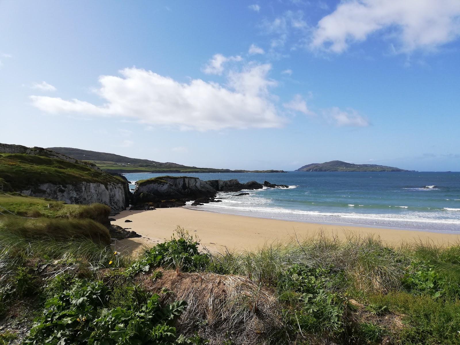 Sandee Sherkin Island