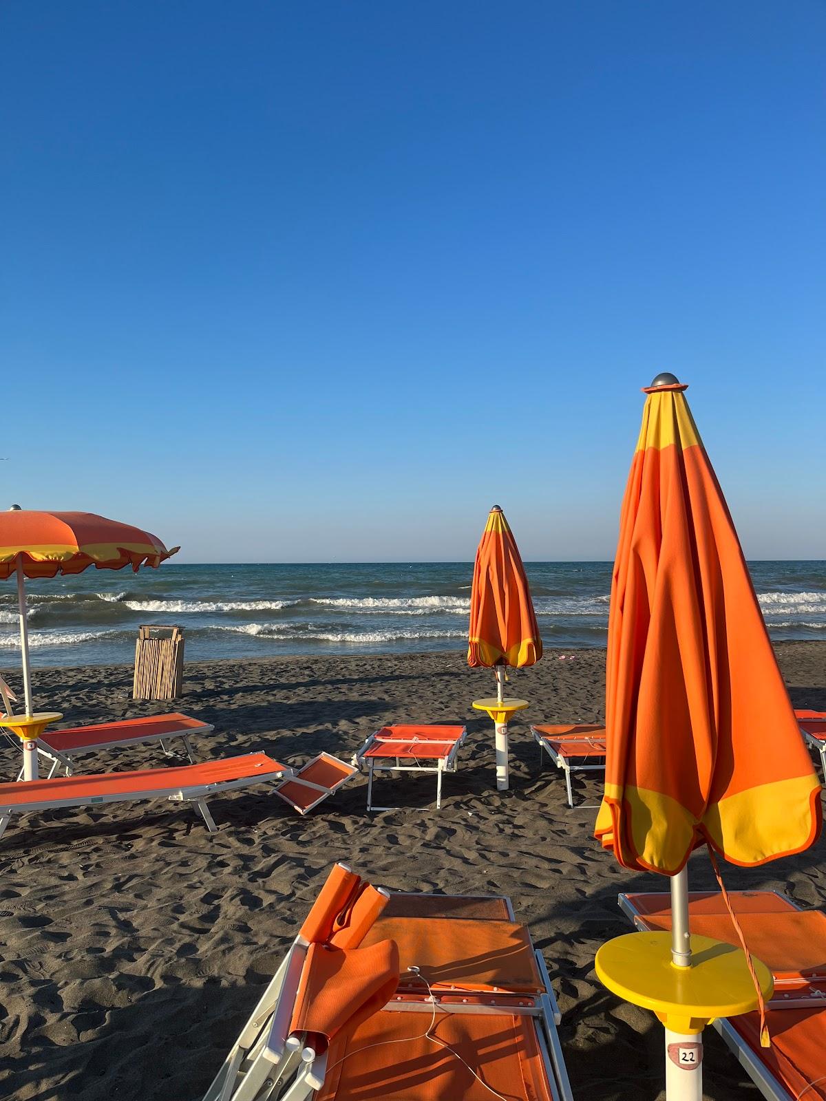 Sandee Beach Dunes