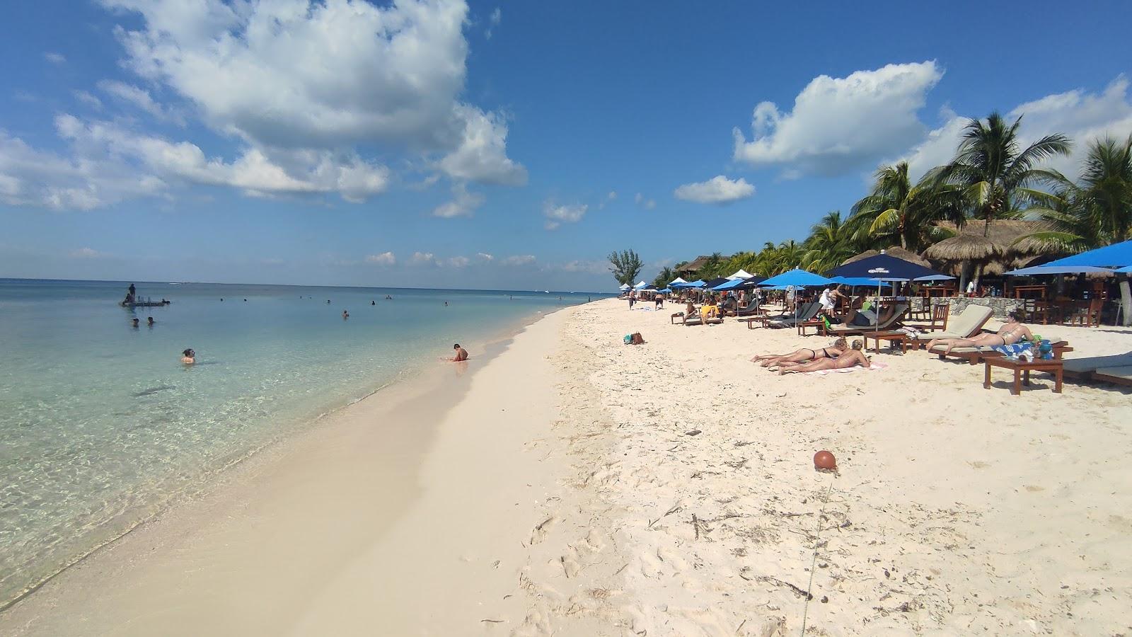 Sandee Playa Palencar