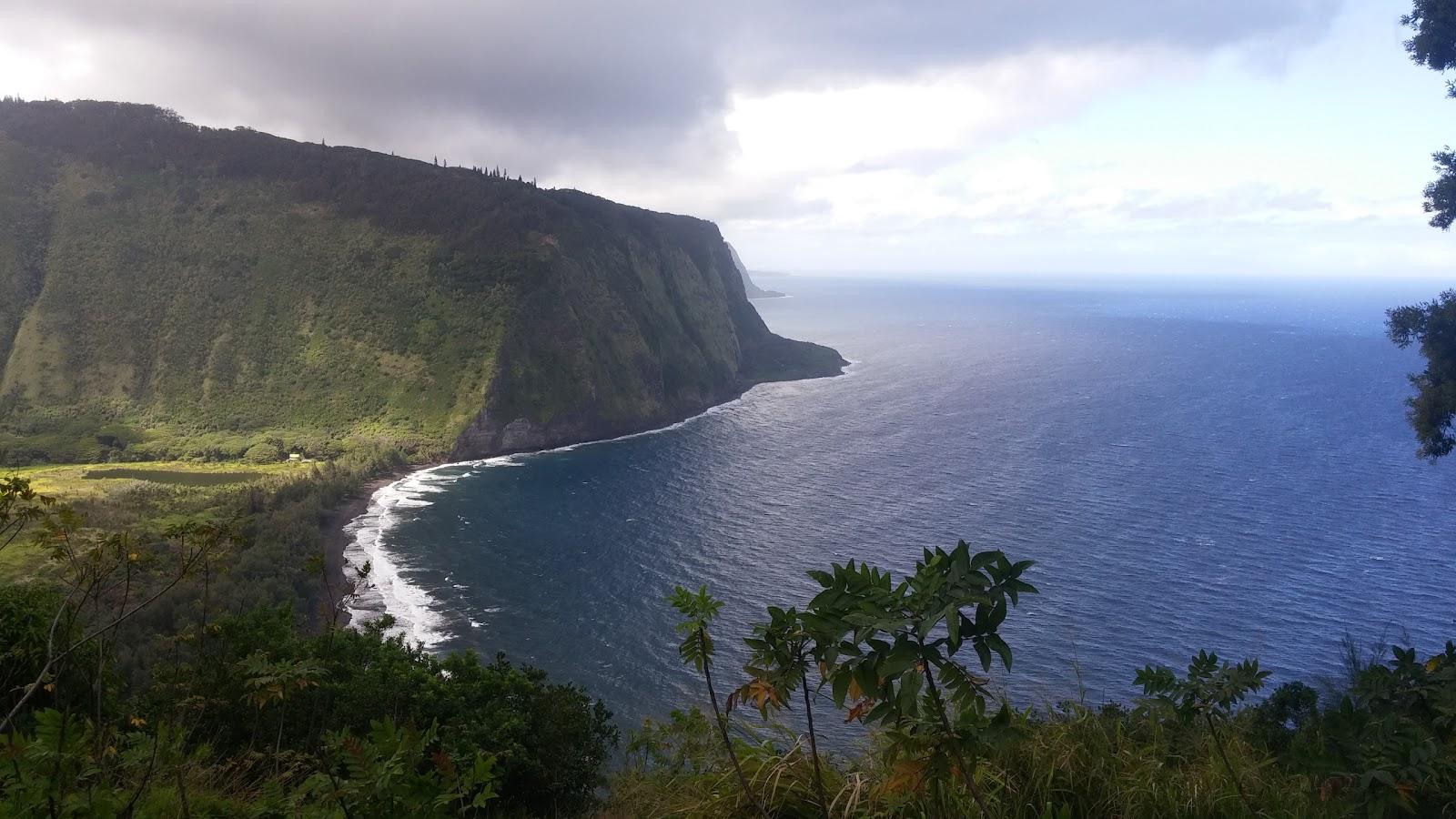 Sandee Laupahoehoe Beach County Park Photo