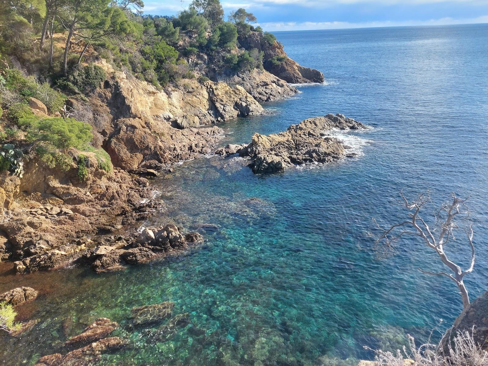 Sandee Plage Du Rossignol