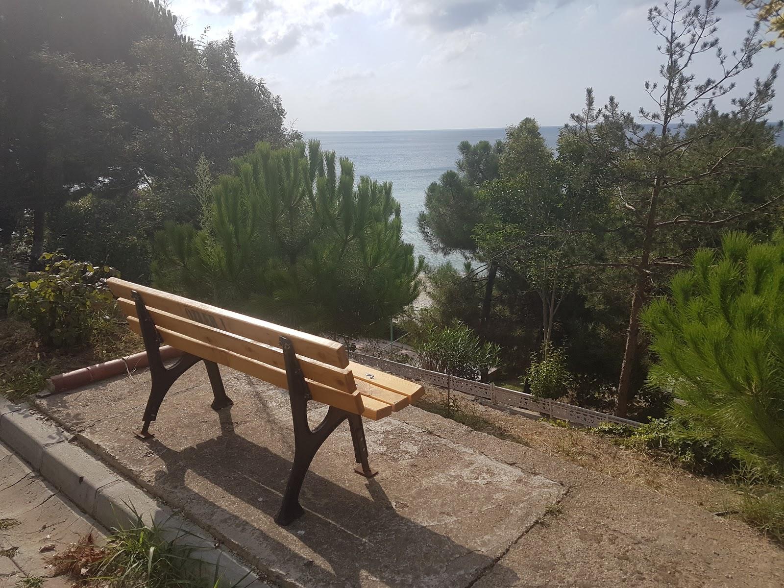 Sandee Ozler 1 Tatil Koyu
