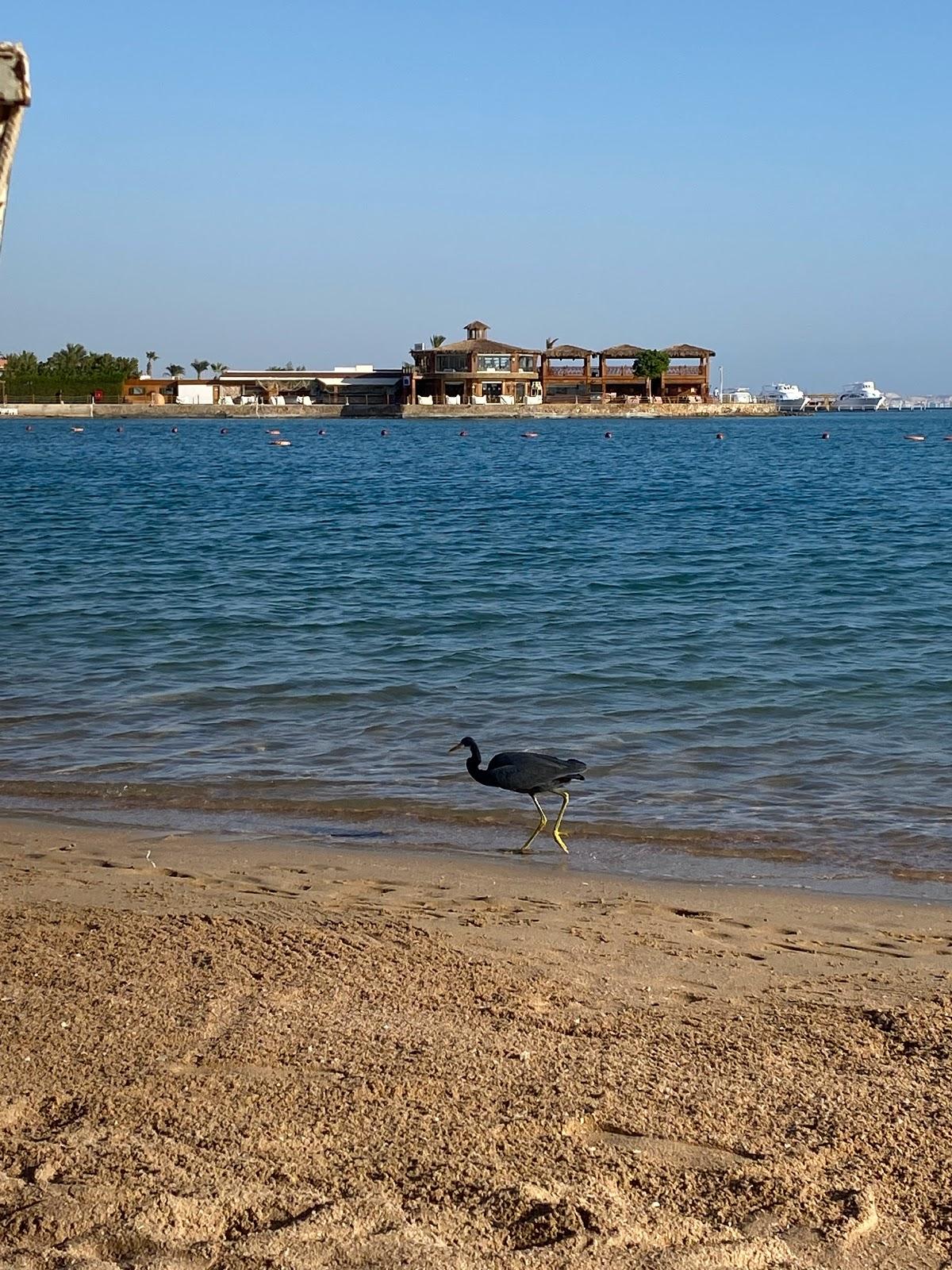 Sandee Sentido Mamlouk Palace Resort