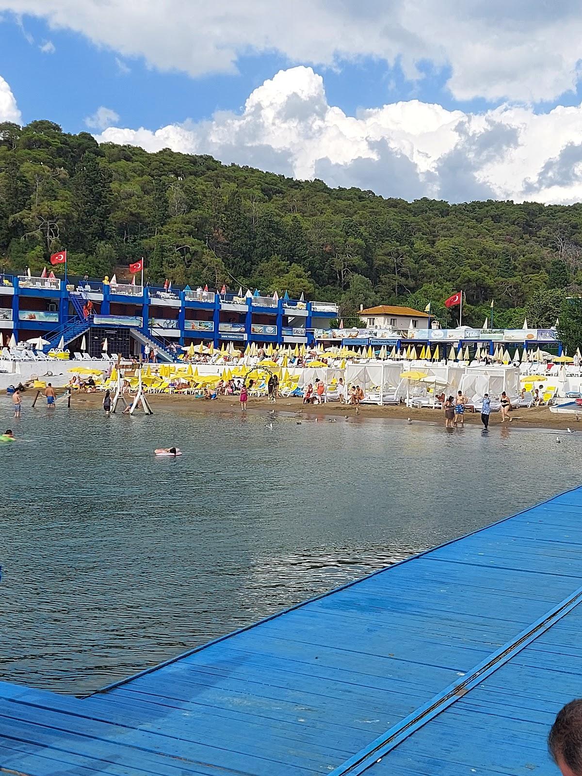 Sandee Yorukali Tesisleri Buyukada Hotel Beach