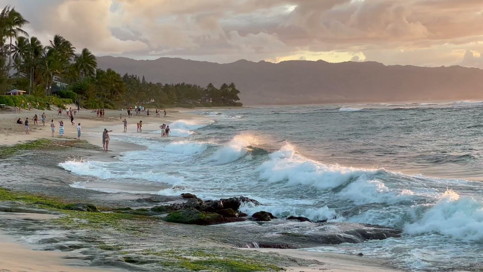 Sandee - Laniakea Beach