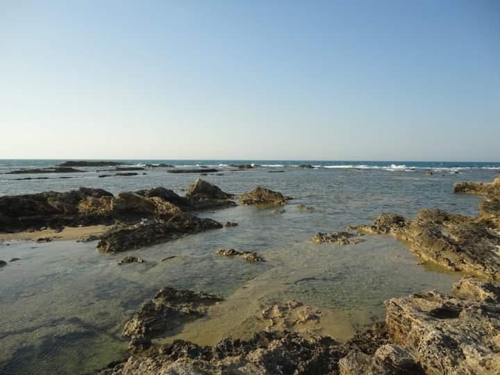 Sandee Punta Penne