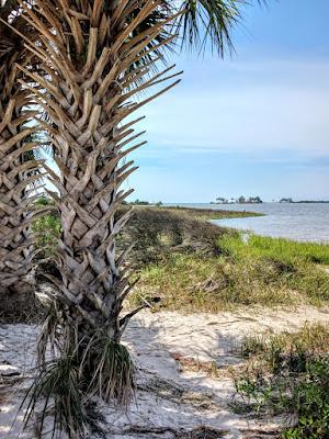 Sandee - Bird Creek Beach