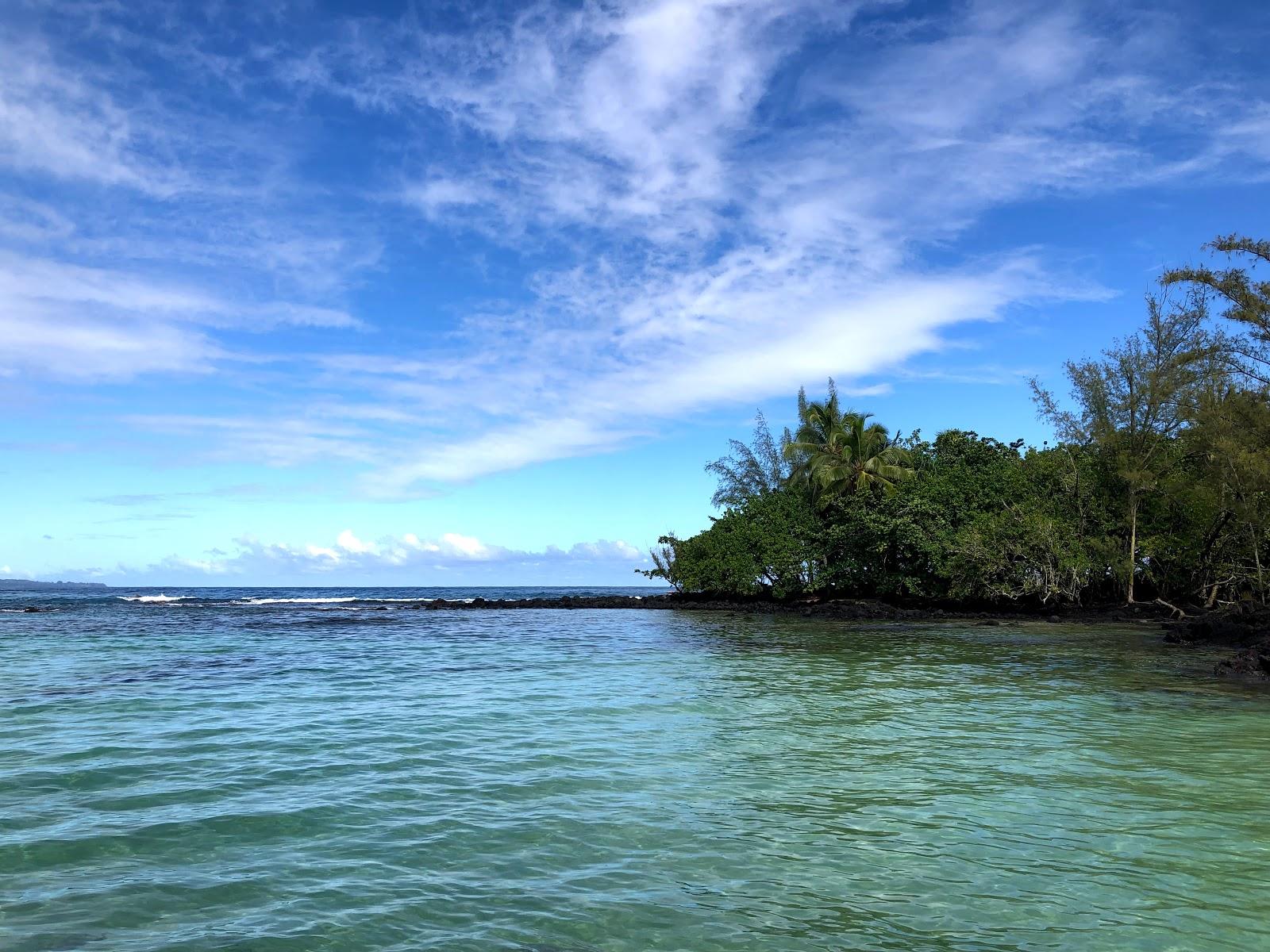 Sandee - Hilo Bayfront Park