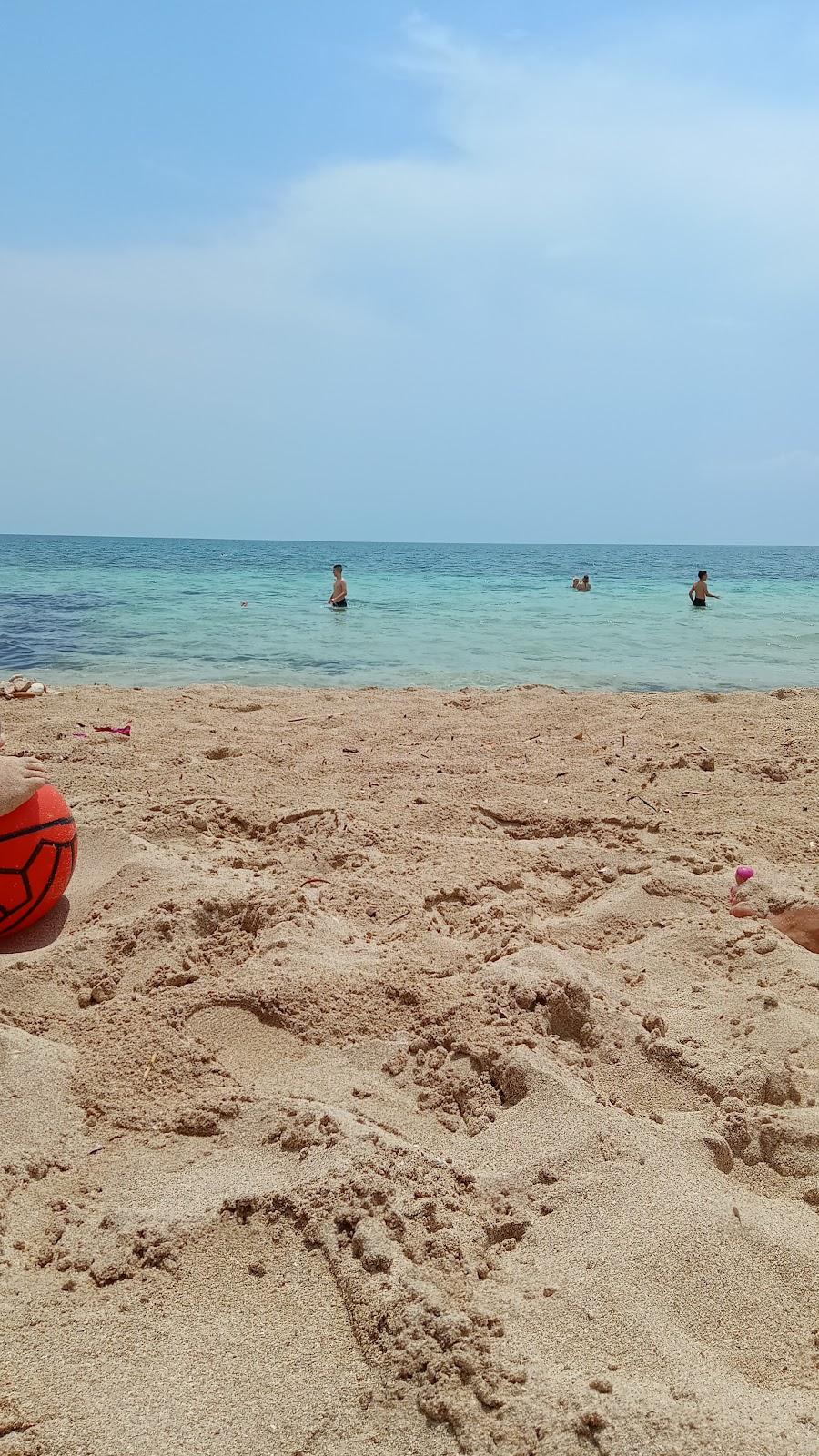 Sandee Spiaggia Di Palmintiello