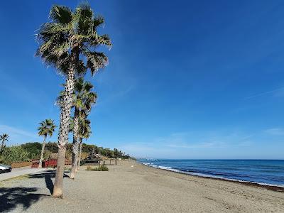 Sandee - Playa Del Padron