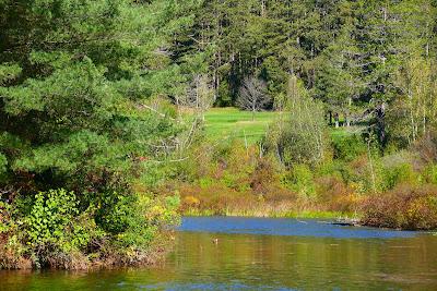 Sandee - Allegany State Park Beach Red House